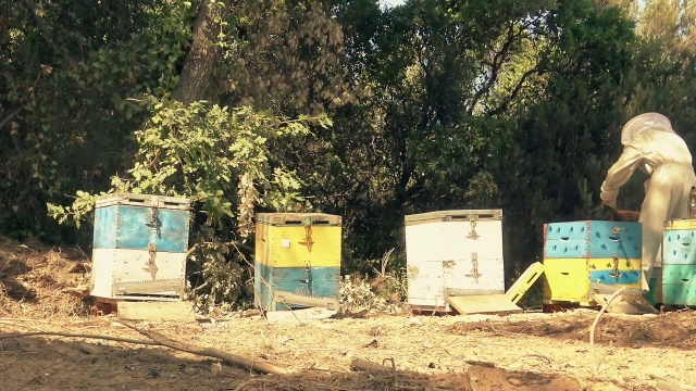 maxresdefault (2).jpg